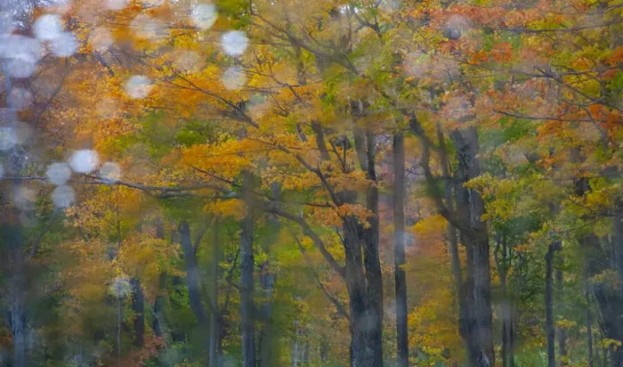 Framed Print : USA, New Hampshire, Sugar Hill looking through windshield on rainy day with Hardwood