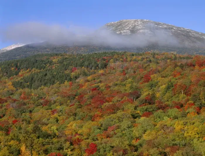 Framed Print : USA, New Hampshire, White Mountain National Forest, Fall colored hardwoods beneath