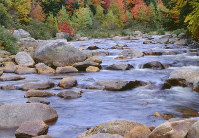 Framed Print : USA, New Hampshire, White Mountain National Forest, Fall-colored hardwoods along