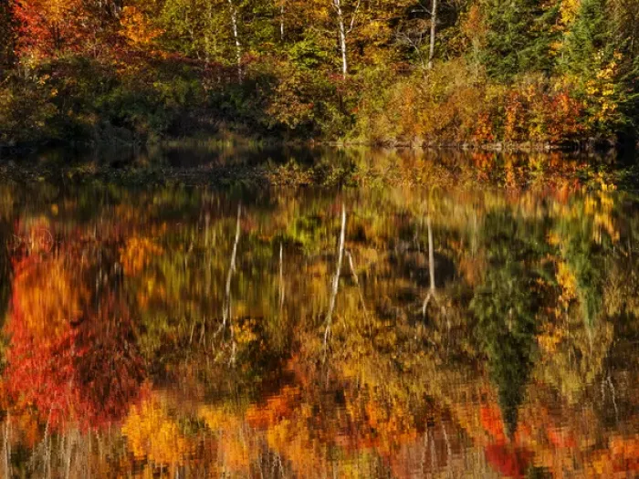 Framed Print : USA, New Hampshire, White Mountains, Autumn reflections on Coffin Pond