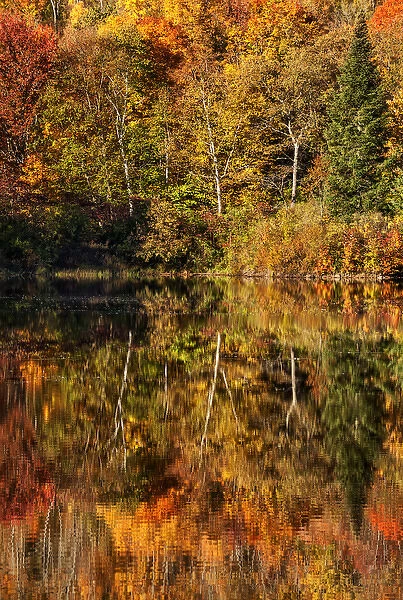 USA, New Hampshire, White Mountains, Autumn reflections on Coffin Pond