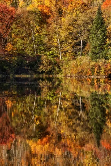 Framed Print : USA, New Hampshire, White Mountains, Autumn reflections on Coffin Pond Framed Print : USA, New Hampshire, White Mountains, Autumn reflections on Coffin Pond