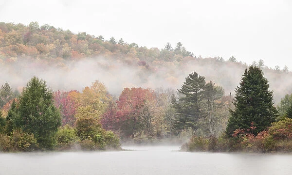 USA, New Hampshire, White Mountains, Fog drifts around Coffin Pond