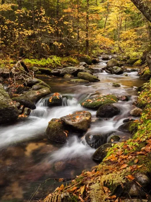 Framed Print : USA, New Hampshire, White Mountains, Fall color on Jefferson Brook Framed Print : USA, New Hampshire, White Mountains, Fall color on Jefferson Brook