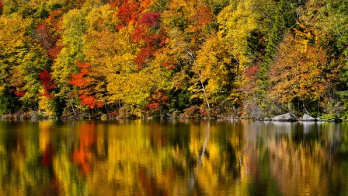 Framed Print : USA, New Hampshire, White Mountains, Reflections on Russell Pond Framed Print : USA, New Hampshire, White Mountains, Reflections on Russell Pond