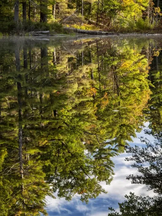 Framed Print : USA, New Hampshire, White Mountains, Reflections in Red Eagle Pond Framed Print : USA, New Hampshire, White Mountains, Reflections in Red Eagle Pond