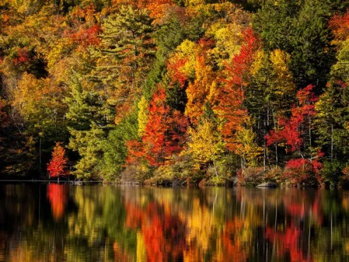 Framed Print : USA, New Hampshire, White Mountains, Fall reflections on Russell Pond Framed Print : USA, New Hampshire, White Mountains, Fall reflections on Russell Pond