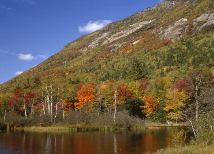 Framed Print : USA, New Hampshire, White Mountains, Crawford Notch State Park, Fall-colored northern Framed Print : USA, New Hampshire, White Mountains, Crawford Notch State Park, Fall-colored northern