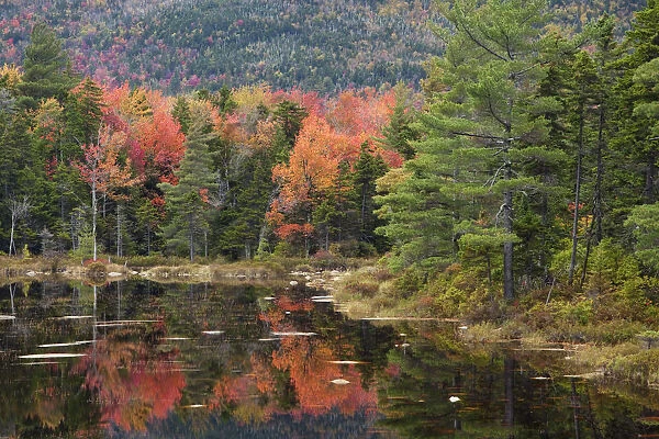 USA, New Hampshire, White Mountains. Autumn lake reflections