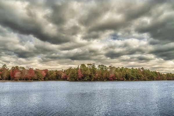 USA, New Jersey, Belleplain State Forest. Storm clouds over lake and forest. Credit as
