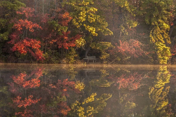 USA, New Jersey, Belleplain State Forest. Autumn tree reflections on lake. Credit as