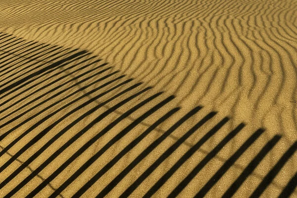 USA, New Jersey, Cape May National Seashore. Fence shadow on shore sand. Credit as