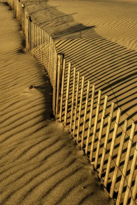 Framed Print : USA, New Jersey, Cape May National Seashore. Fence shadow on shore sand. Credit as