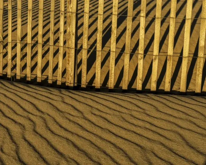 Framed Print : USA, New Jersey, Cape May National Seashore. Fence shadow on shore sand. Credit as Framed Print : USA, New Jersey, Cape May National Seashore. Fence shadow on shore sand. Credit as