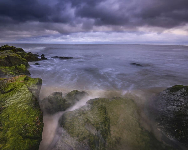 USA, New Jersey, Cape May National Seashore. Storm waves and moss-covered rocks