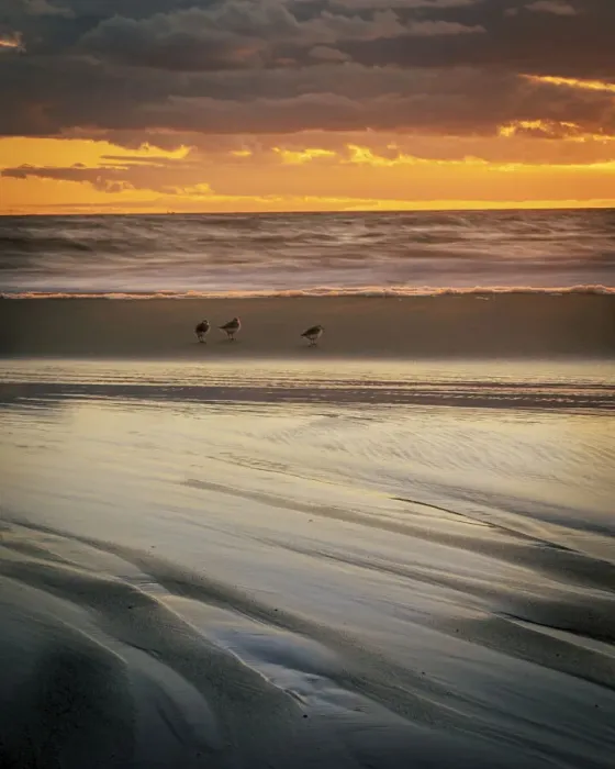 Framed Print : USA, New Jersey, Cape May National Seashore. Cloudy sunset on seashore
