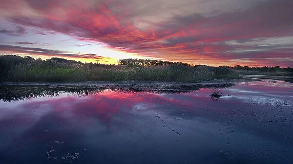 USA, New Jersey, Cape May National Seashore. Sunrise on marsh