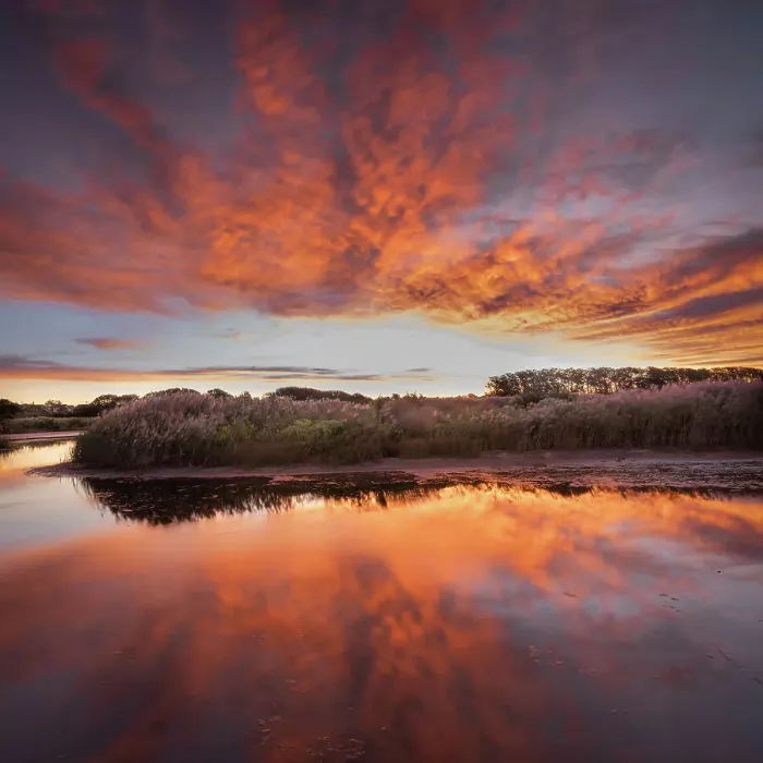 Framed Print : USA, New Jersey, Cape May National Seashore. Sunrise on marsh Framed Print : USA, New Jersey, Cape May National Seashore. Sunrise on marsh
