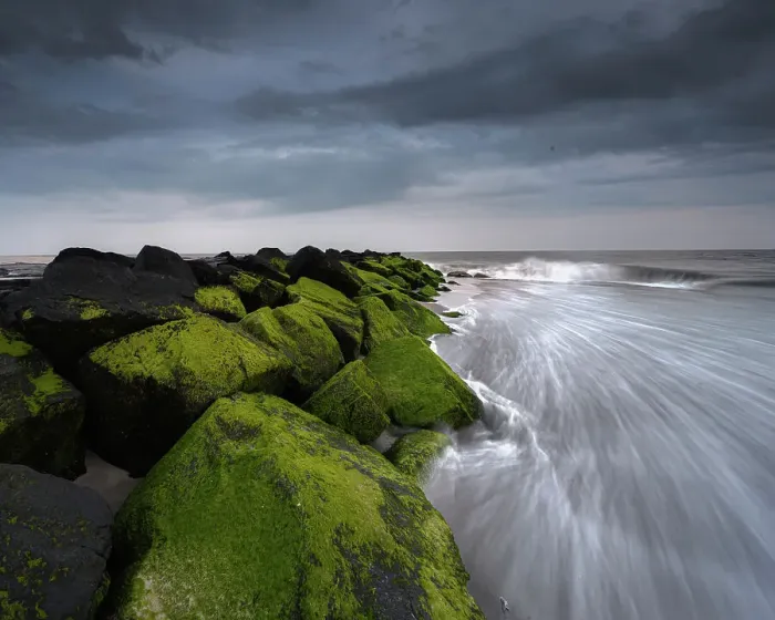 Framed Print : USA, New Jersey, Cape May National Seashore. Sunset on ocean and mossy beach rocks. ©Jay O'Brien  /  Jaynes Gallery  /  DanitaDelimont.com