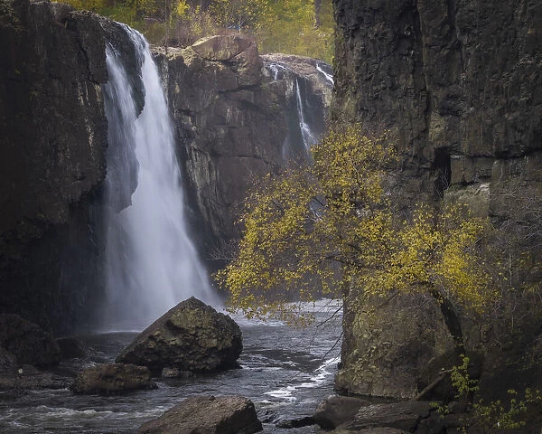 USA, New Jersey, Great Falls State Park. Waterfall and tree in autumn