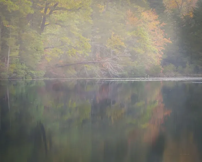 Framed Print : USA, New Jersey, Pine Barrens National Preserve. Autumn colors reflect in lake Framed Print : USA, New Jersey, Pine Barrens National Preserve. Autumn colors reflect in lake