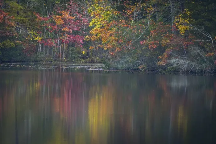 Framed Print : USA, New Jersey, Pine Barrens National Preserve. Autumn colors reflect in lake