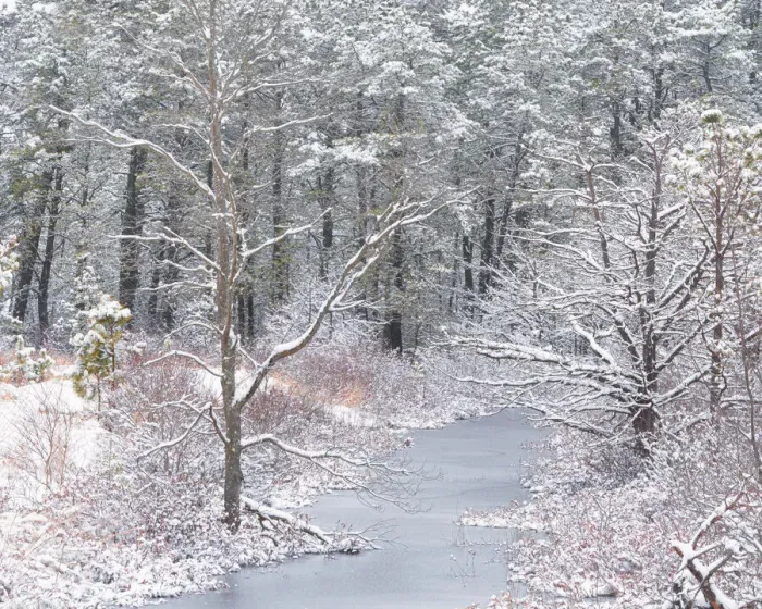Framed Print : USA, New Jersey, Pine Barrens National Preserve. Winter scenic of stream and forest