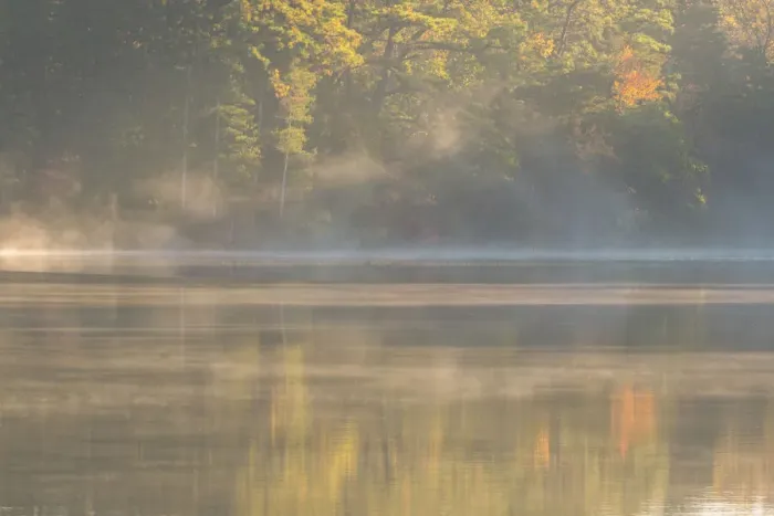 Framed Print : USA, New Jersey, Pine Barrens National Preserve. Foggy forest and lake landscape