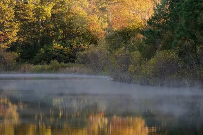 Framed Print : USA, New Jersey, Pine Barrens National Preserve. Autumn foliage reflected in pond. ©Jay O'Brien  /  Jaynes Gallery  /  DanitaDelimont.com