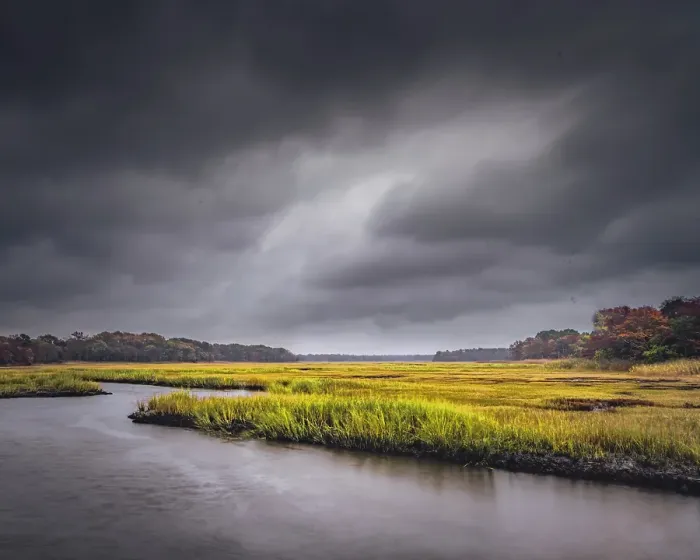 Framed Print : USA, New Jersey, Pine Barrens National Preserve. Storm over marsh and forest landscape. ©Jay O'Brien  /  Jaynes Gallery  /  DanitaDelimont.com