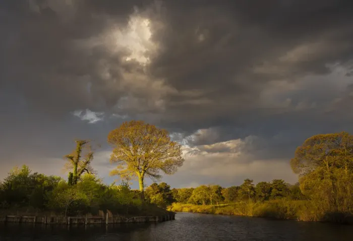 Framed Print : USA, New Jersey, Pinelands National Preserve. Stormy sky over sunrise lake scenic Framed Print : USA, New Jersey, Pinelands National Preserve. Stormy sky over sunrise lake scenic