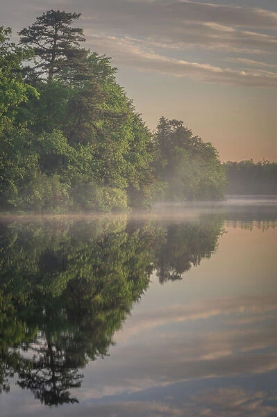 USA, New Jersey, Pinelands National Reserve. Sunrise reflections in lake