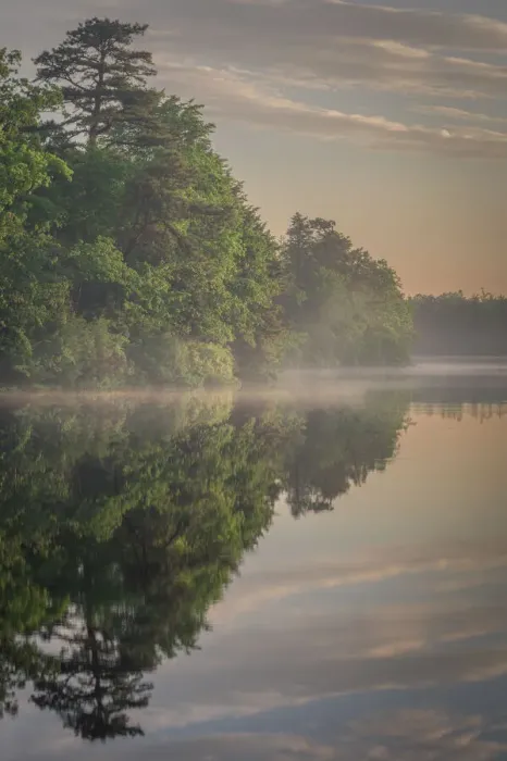 Framed Print : USA, New Jersey, Pinelands National Reserve. Sunrise reflections in lake Framed Print : USA, New Jersey, Pinelands National Reserve. Sunrise reflections in lake