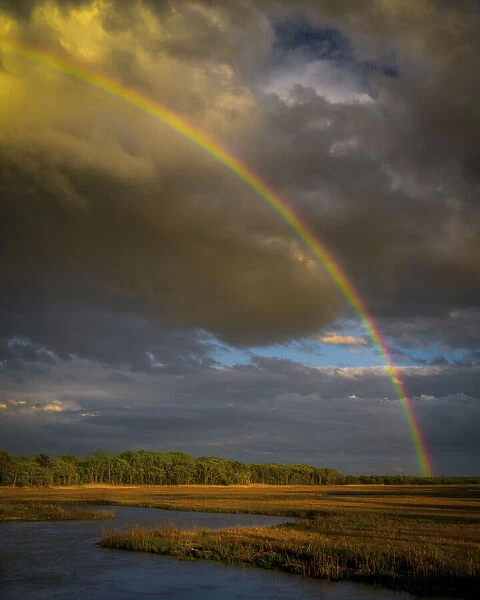 USA, New Jersey, Pinelands National Reserve. Rainbow over marsh