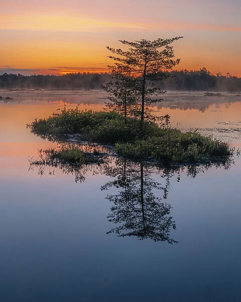 USA, New Jersey, Pinelands National Reserve. Sunrise reflections in marsh