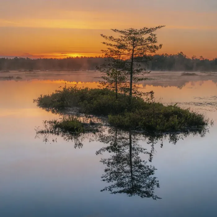 Framed Print : USA, New Jersey, Pinelands National Reserve. Sunrise reflections in marsh