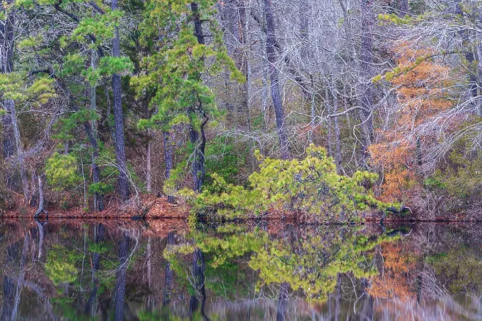 Framed Print : USA, New Jersey, Pinelands National Reserve. Forest reflections in lake. ©Jay O'Brien / Jaynes Gallery / DanitaDelimont.com Framed Print : USA, New Jersey, Pinelands National Reserve. Forest reflections in lake. ©Jay O'Brien / Jaynes Gallery / DanitaDelimont.com