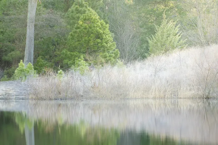 Framed Print : USA, New Jersey, Pinelands National Reserve. Frosty trees reflect in lake in winter. ©Jay O'Brien  /  Jaynes Gallery  /  DanitaDelimont.com