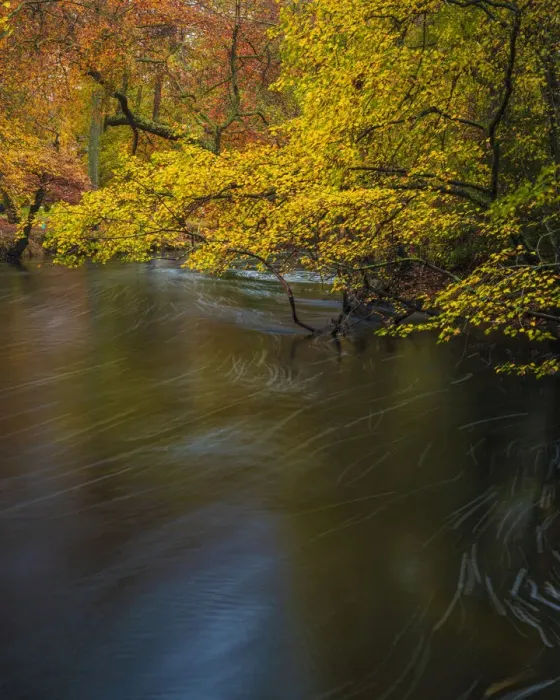 Framed Print : USA, New Jersey, Wharton State Forest. River and forest in autumn