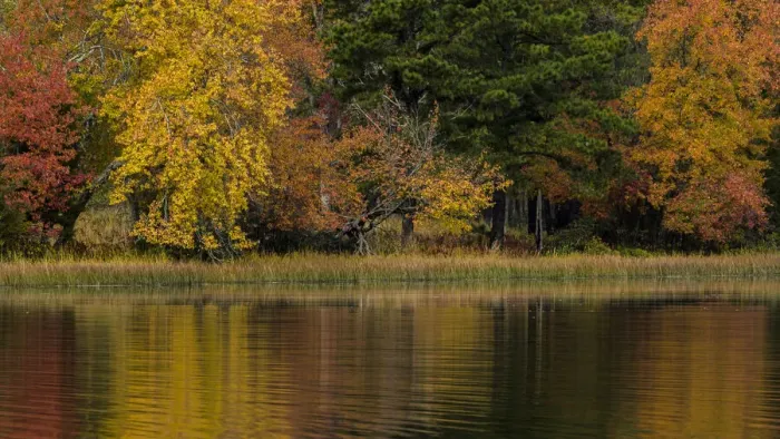Framed Print : USA, New Jersey, Wharton State Forest. Lake and forest in autumn