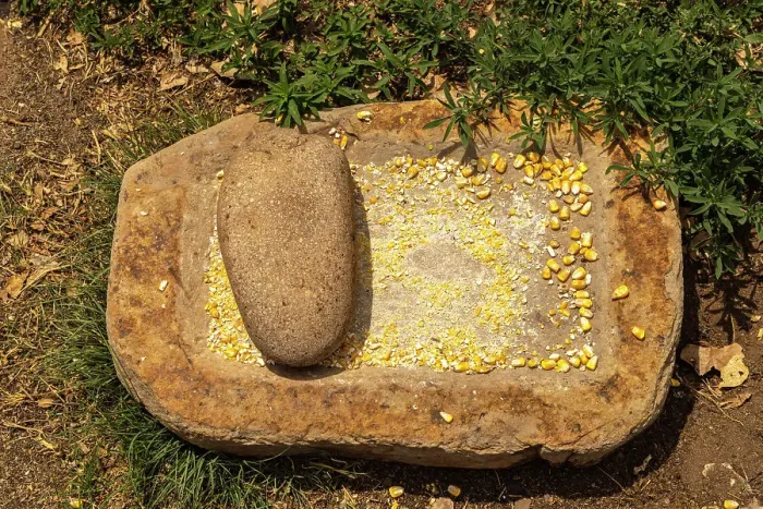 Framed Print : USA, New Mexico, Aztec Ruins National Monument. Metate stone used for grinding grain Framed Print : USA, New Mexico, Aztec Ruins National Monument. Metate stone used for grinding grain