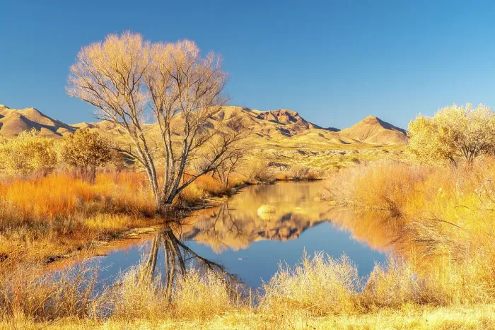 Framed Print : USA, New Mexico, Bosque Del Apache National Wildlife Refuge. Landscape with pond and mountains