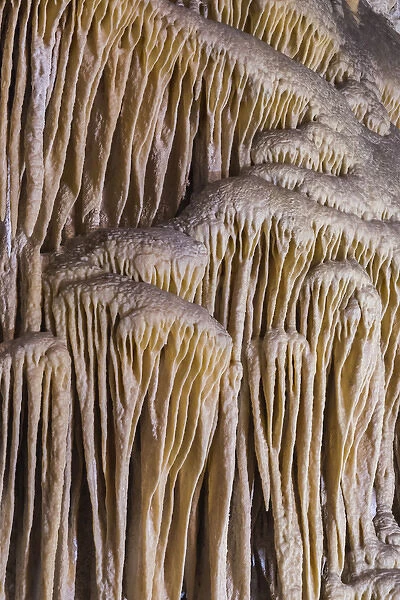 USA, New Mexico, Carlsbad Caverns. Scenic of limestone formation