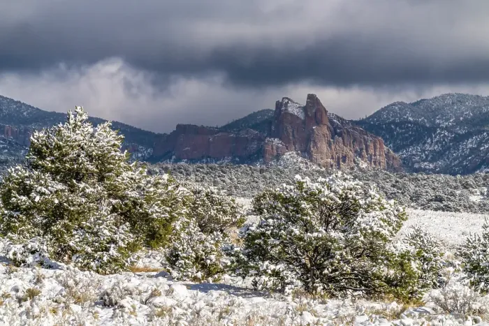 Framed Print : USA, New Mexico, Cibola National Forest. Fresh snow on Sawtooth Mountains. ©Cathy & Gordon Illg / Jaynes Gallery / DanitaDelimont.com Framed Print : USA, New Mexico, Cibola National Forest. Fresh snow on Sawtooth Mountains. ©Cathy & Gordon Illg / Jaynes Gallery / DanitaDelimont.com