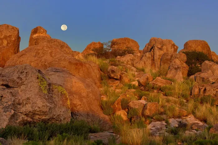 Framed Print : USA, New Mexico, City of Rocks State Park. Full moon sets over granite boulders lit by sunrise Framed Print : USA, New Mexico, City of Rocks State Park. Full moon sets over granite boulders lit by sunrise