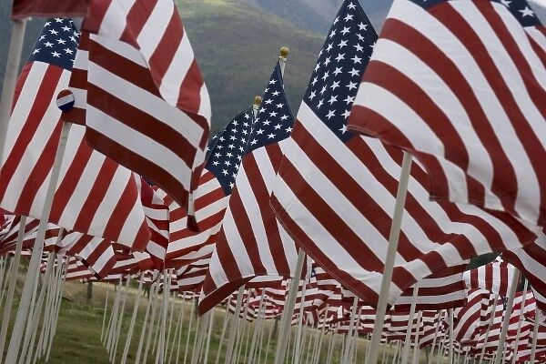 USA, New Mexico, Questa, Flag Memorial Honoring Americas Veterans