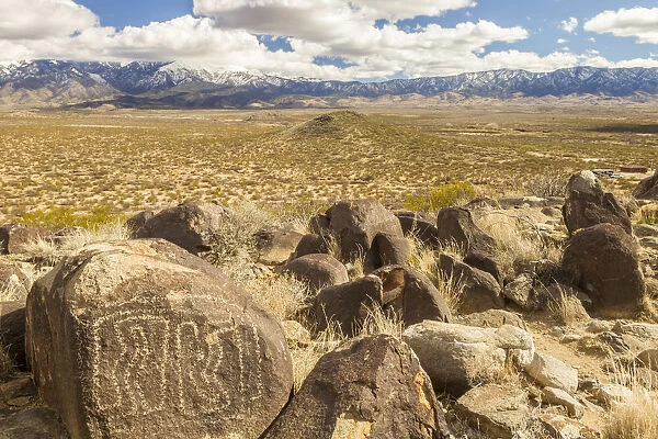 USA, New Mexico, Three Rivers Petroglyph Site