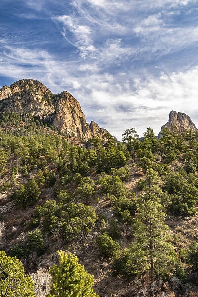 USA, New Mexico, Sandia Mountains. Mountain and forest landscape