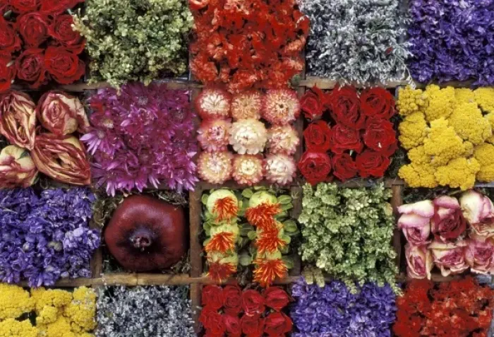 Framed Print : USA, New Mexico, Santa Fe. Flower art by Floramania at Farmers Market Framed Print : USA, New Mexico, Santa Fe. Flower art by Floramania at Farmers Market