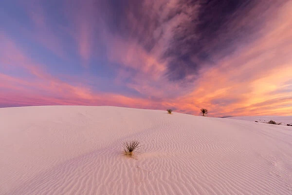 USA, New Mexico, White Sands National Monument. Sunrise on desert sand. Credit as